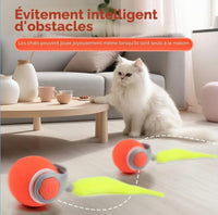 Balle Interactive Automatique pour Chat – Recharge USB, 3 Modes, Silicone Sécurisé — vue 1