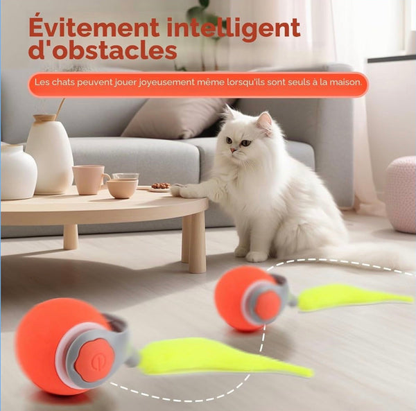 Balle Interactive Automatique pour Chat – Recharge USB, 3 Modes, Silicone Sécurisé
