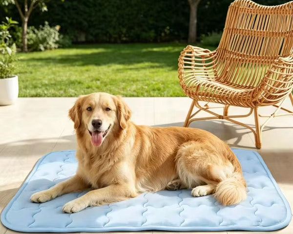 Tapis Rafraîchissant pour Animaux — Lavable en Machine