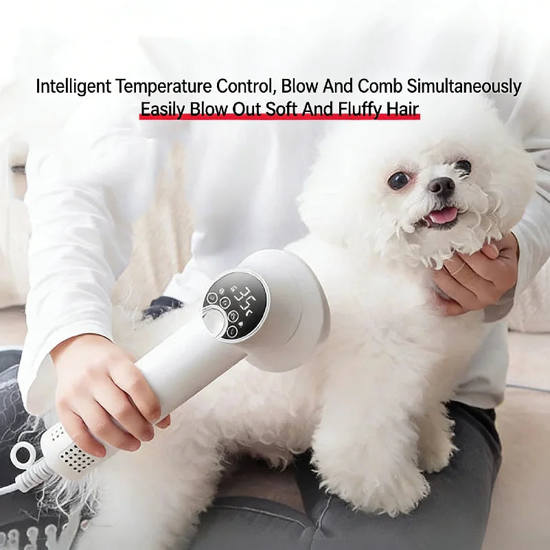 2-in-1 Professional Pet Hair Dryer Grooming Tool Dog Cat Puppy Hot Cold Wind Air Brush Strong Power Special Fast Drying Machine