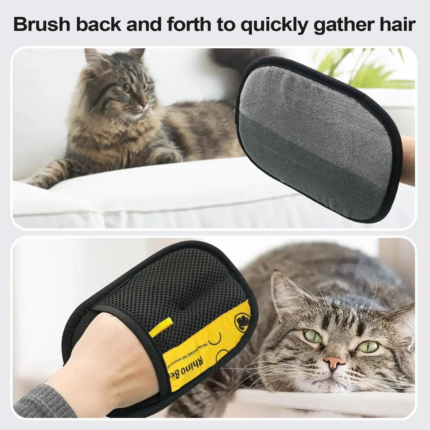 Gant Anti-Poils pour Chiens & Chats