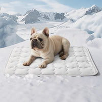 Tapis Rafraîchissant pour Animaux — Lavable en Machine — vue 5