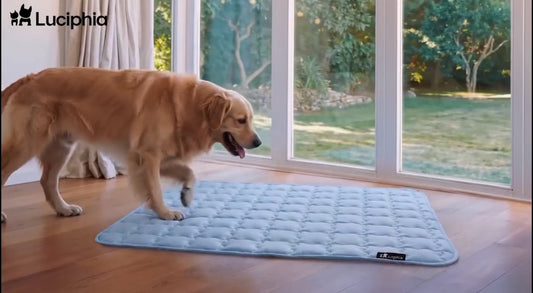 Tapis Rafraîchissant pour Animaux — Lavable en Machine